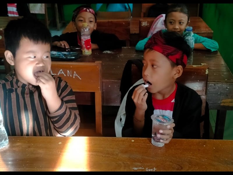 PEMBERIAN OBAT CACING