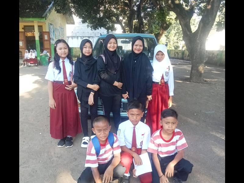 FLS3N