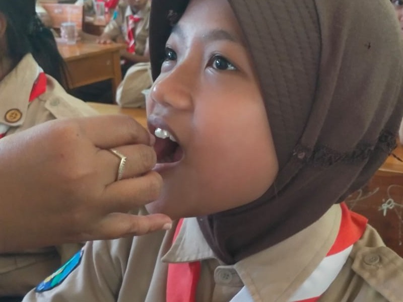 PEMBERIAN OBAT CACING